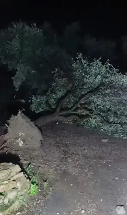 Fırtına ve Hortum Seraları Yıktı, Yollar Göle Döndü 11